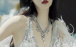 麻豆视传媒入口